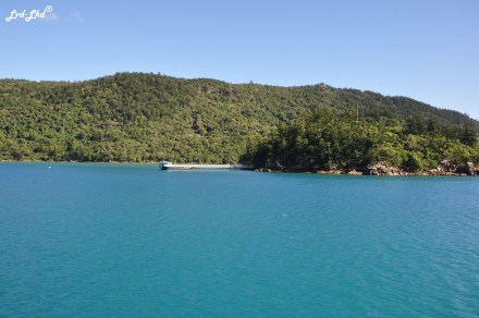 5 whitsunday (6)