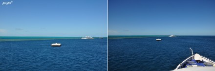 6 plateforme great reef (5)