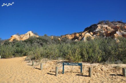 7 Moheno wreck et pinnacles (2)