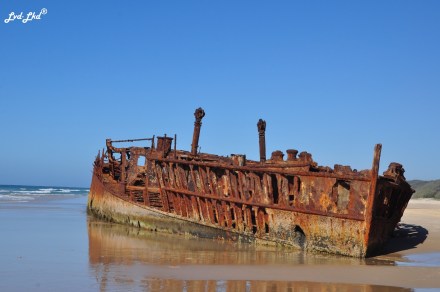 7 Moheno wreck et pinnacles (3)