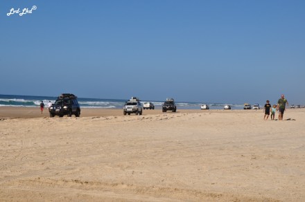 7 Moheno wreck et pinnacles (4)