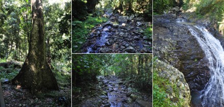 7 natural bridge (2)