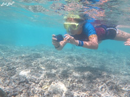 8 snorkeling (16)