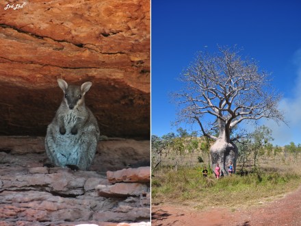 1 Gregory National Park (6)