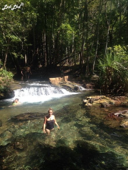 10 berry springs (1)