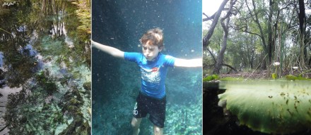 2 bitter springs (1)