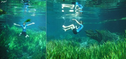 2 bitter springs (5)