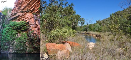 2 emma gorge el questro (3)