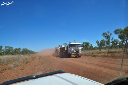 2 gibb river road (4)