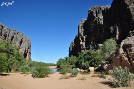 2 Windjana Gorge (4)