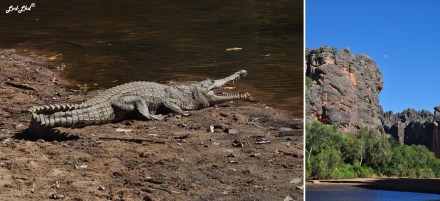 2 Windjana Gorge (7)