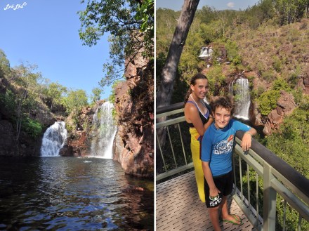 4 Florence falls (1)