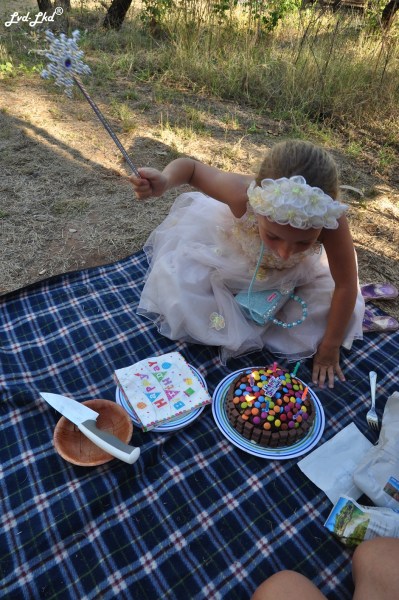 5 anniversaire amélie (3)