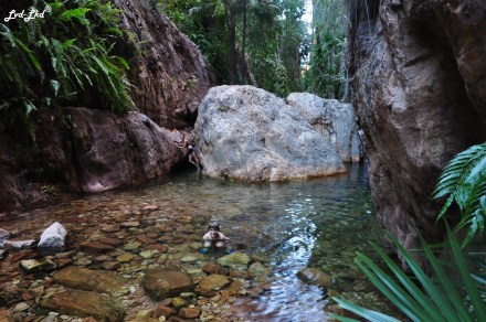 5 el questro gorge (4)