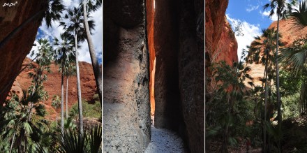 6 echidna chasm (2)