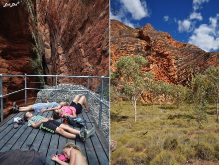 7 mini palms spring (1)