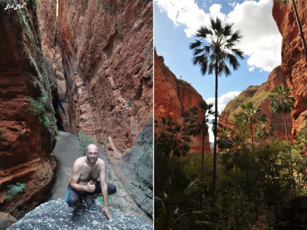 7 mini palms spring (7)