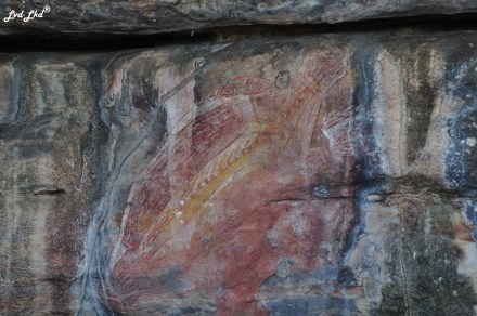 7 ubirr paysades kakadu (1)