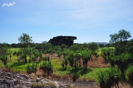 7 ubirr paysades kakadu (2)