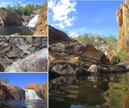 7 Upper pool edith falls (1)