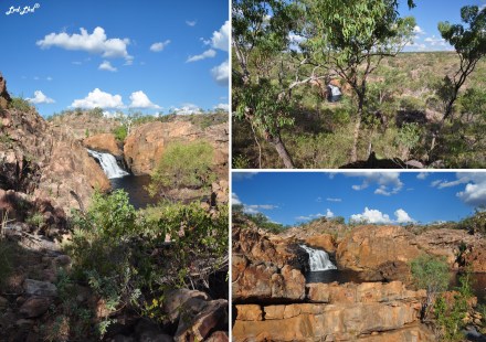 7a upper pool edith falls (2)