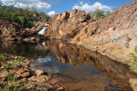 7a upper pool edith falls (5)