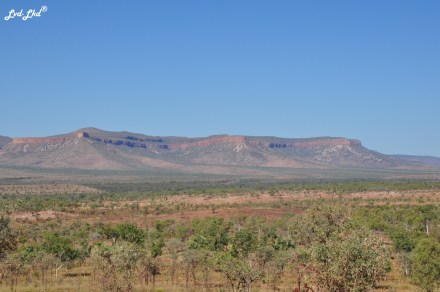 9 falaise gibb river road (5)