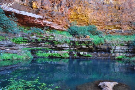 6 dales gorge (5)