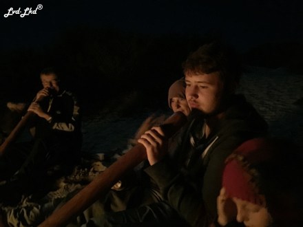 4 monkey mia et capes (5)