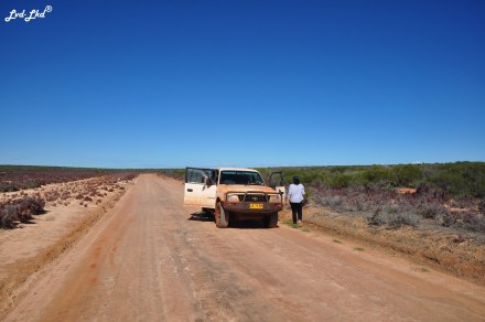 5 route francois peron (1)