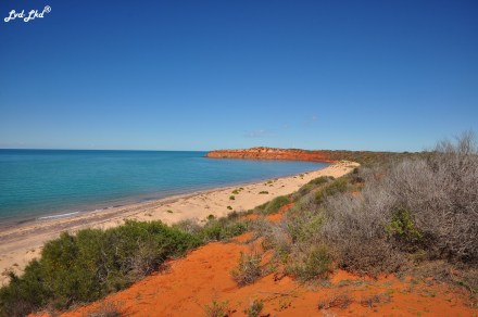 7 dauphins et landscape (3)