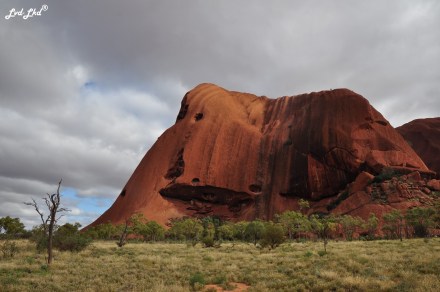 9 Uluru (1)